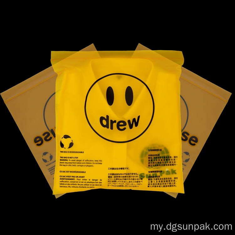 Sachet Self ပလတ်စတစ် Pack Lock Zip အိတ်များ