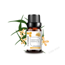 Osmanthus Oil Premium Grade 100% Undiluted Essential Oil (0.33 oz.) for Aromatherapy Soaps Lotions & Candles
