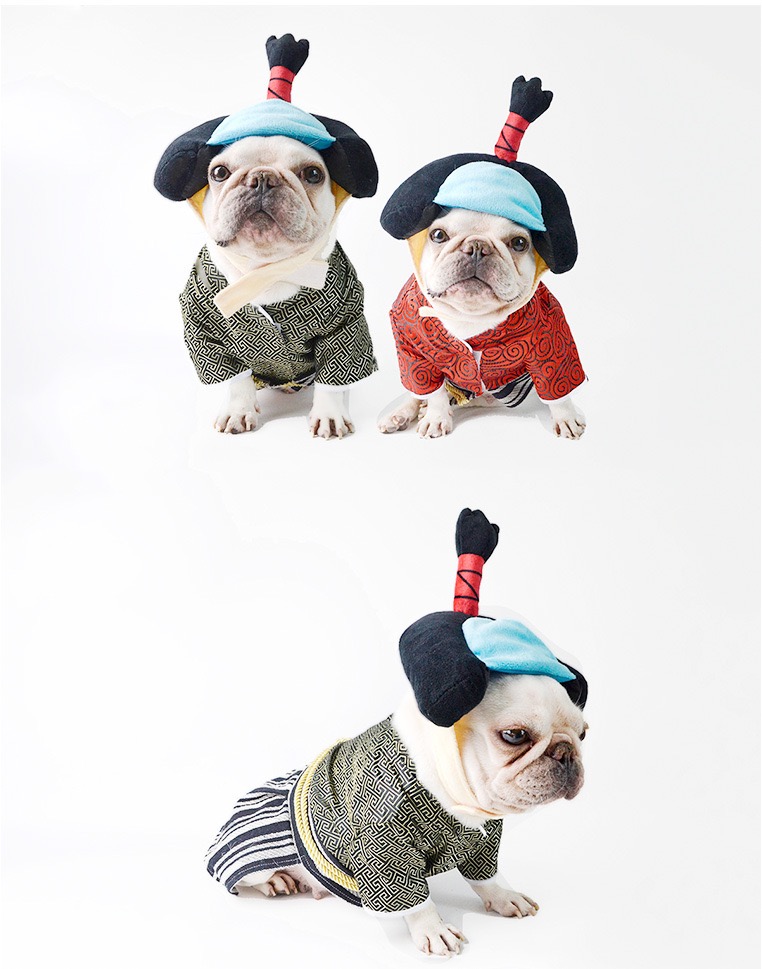 Pet samurai outfit cat corgi dog clothes