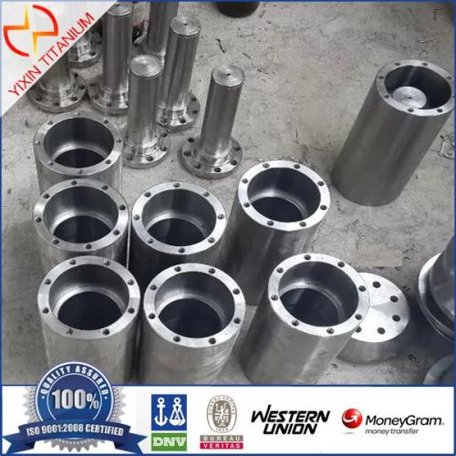 GR1 Titanium Flange For Chemical Industry