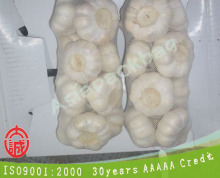 TL-E297 PE extruded Mesh white garlic sacks For vegetables