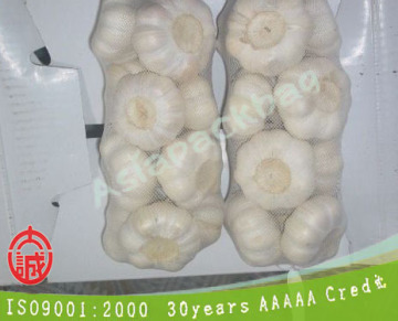 TL-E297 PE extruded Mesh white garlic sacks For vegetables