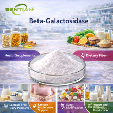 Beta-Galactosidase Enzyme Powder