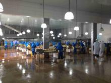 Top Quality Dehydrated White Onion Granules