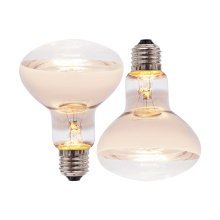 Reptile Basking Lamp: Incandescent Light Bulb for Daytime Heating