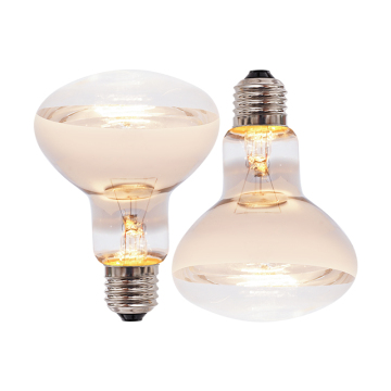 Reptile Basking Lamp: Incandescent Light Bulb for Daytime Heating