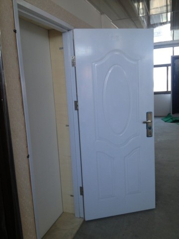 Cheap Steel Door American Panel Door