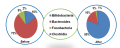 fructooligosaccharides fos 55% 시럽 영양 사실