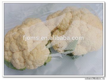 Micro perforated plastic foil for plants