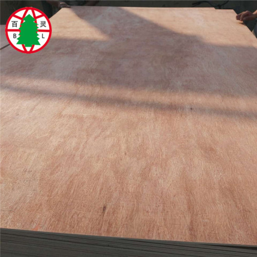 15-18mm EV- Veneer Plywood Sheet