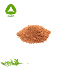 Supply Organic Nature Parsley Petroselinum Sativum Extract