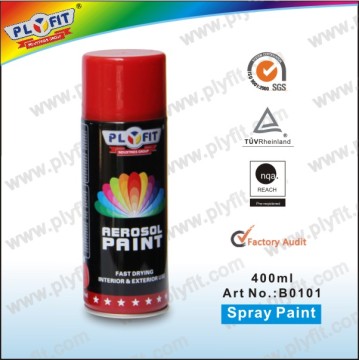 aerosol spray to paint
