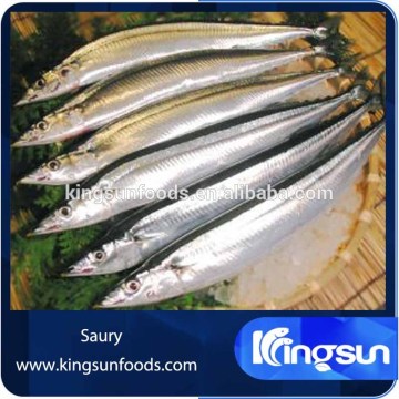 Frozen Pacific saury whole round