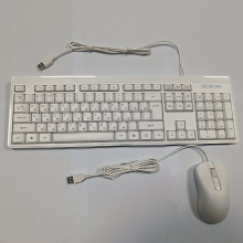 Customizable OEM Keyboard and Mouse Combo with Languages: Russian, French, Korean, Spanish, Portuguese - USB Wired Connection