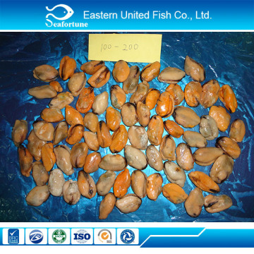 china seafood frozen fresh cooked mussel meat