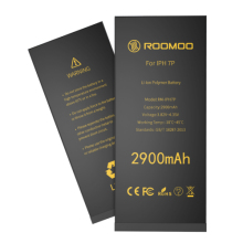 Mobile phone battery