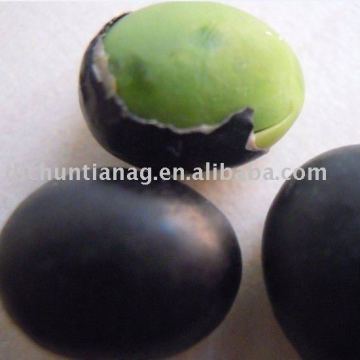 organic black bean green kernel