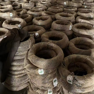 Hot Sale 1kg BWG20 Galvanized Iron Wire - 10 Rolls Construction Tie Wire