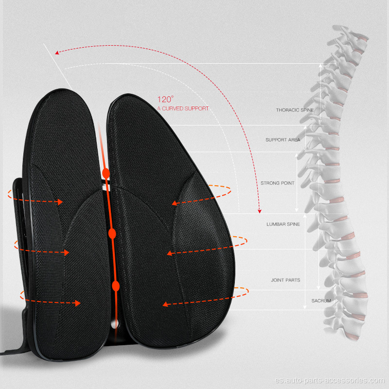 Cómodo soporte lumbar del asiento trasero