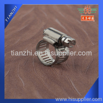 Worm Gear Flexible Coupling Hose Clamp?