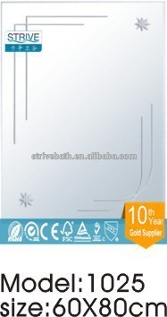 Wall mounted dressing up mirror