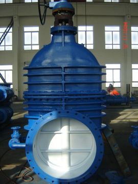 Rising Stem Parallel Double Disk Gate Valve