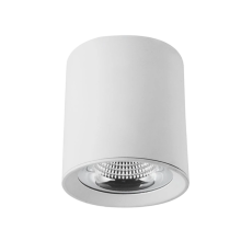 LED ceiling light for kitchen