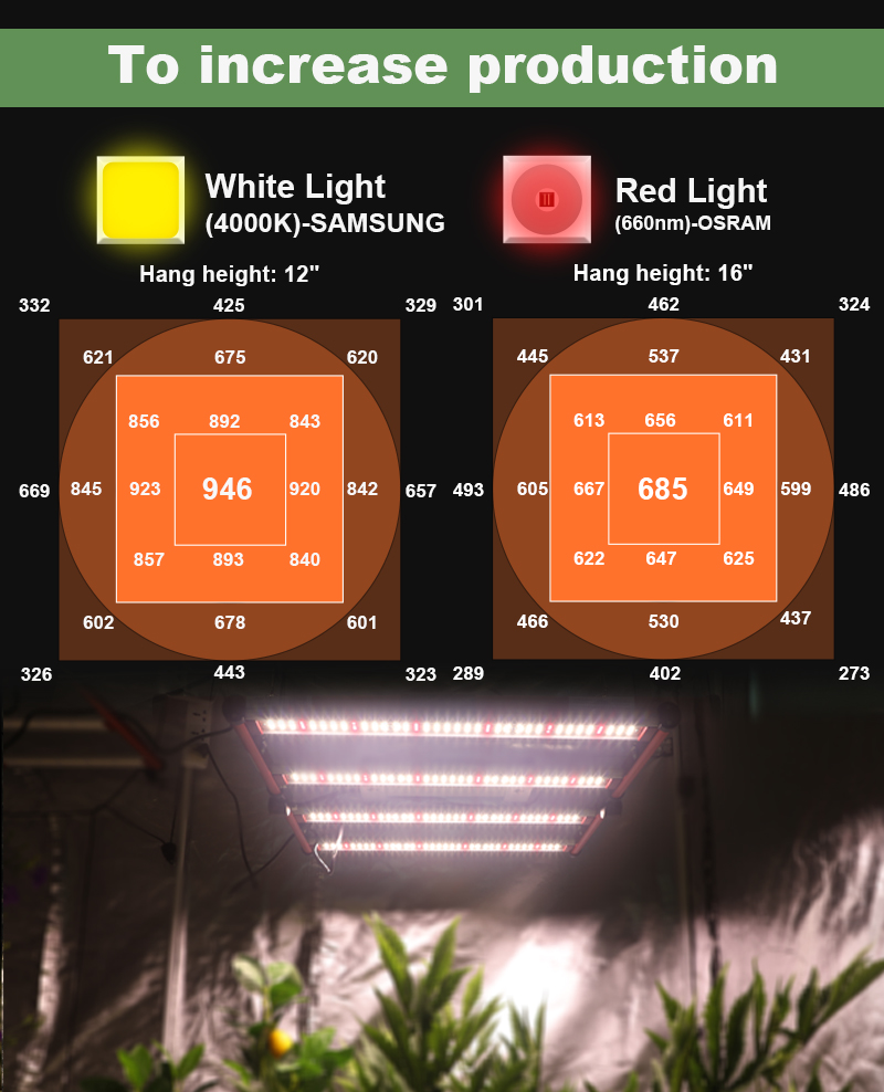 Bester Preis LM301B Indoor -LED -LED Wachsen 240W