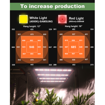 フリーサンプル240W 4バーLEDが照らしました