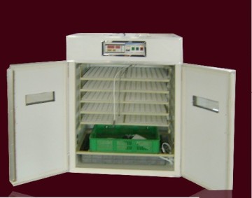 incubator for chicken