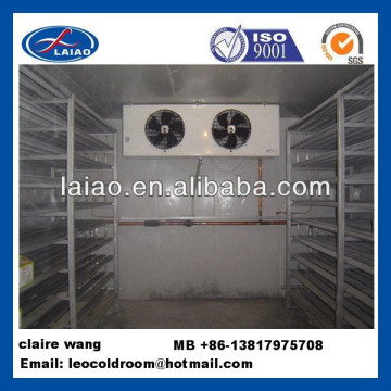 refrigerated chamber cold room storage