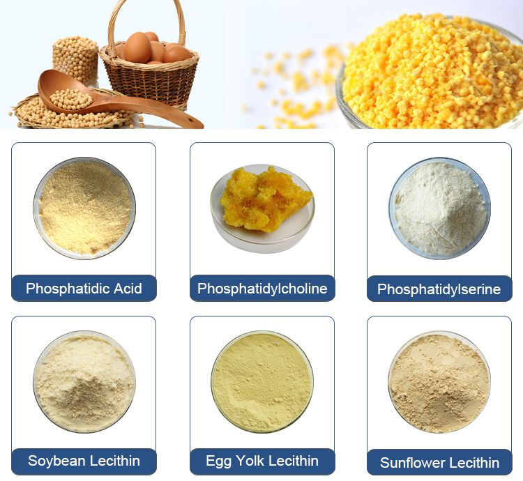 Insen Provide Reliable Quality Soybean Lecithin