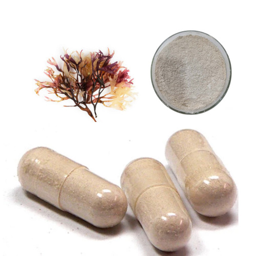 Pure sea moss bladderwrack burdock powder