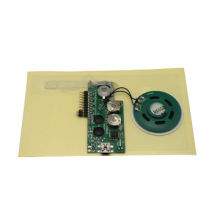 USB programmable sound module for greeting card