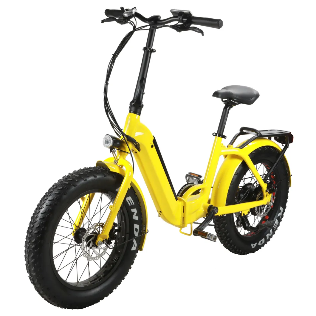 Big Tyre Electric Folding Bike/ 500W E Bike for All Road