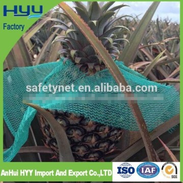 2015 hot sale HDPE pineapple fruit shade net