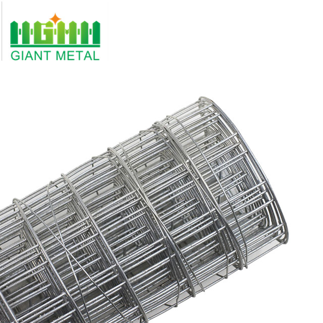 factory galvanised 3/4inch welded wire mesh