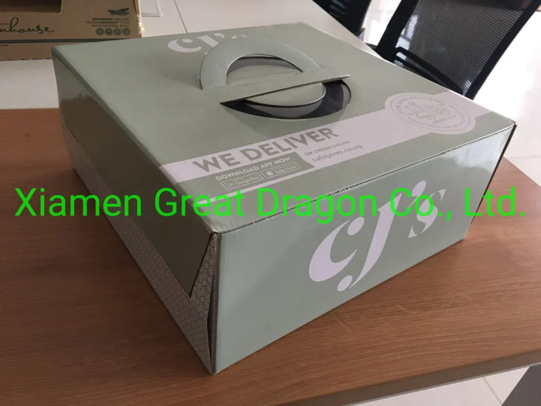 Take out Pizza Delivery Box with Custom Design Hot Sale (PZ2009222010)