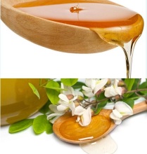 wholesale 100% pure and natural acacia bee honey