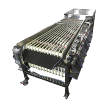 Wholesale Fruit Sorting Machines: Avocado, Dates, Cucumber, Orange Graders
