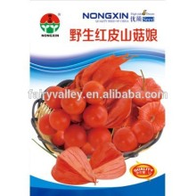 Chinese Physalis Pubescens Seeds Groundcherry Seeds For Growing-Red Peel