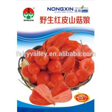 Chinese Physalis Pubescens Seeds Groundcherry Seeds For Growing-Red Peel