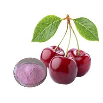 Acerola cherry fruit powder