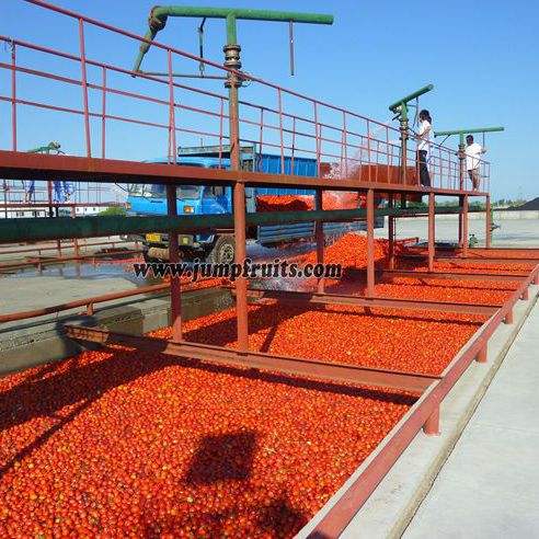 Tomato Spaghetti Bolognese Beef paste tomato sauce making line