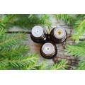 Pure natural Pine needle essential oil