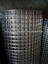 Electro Galvanized Welded netting