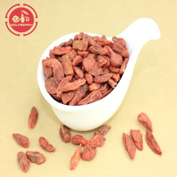 High nutrition Certified Healthy Low pesticide Goji Berries