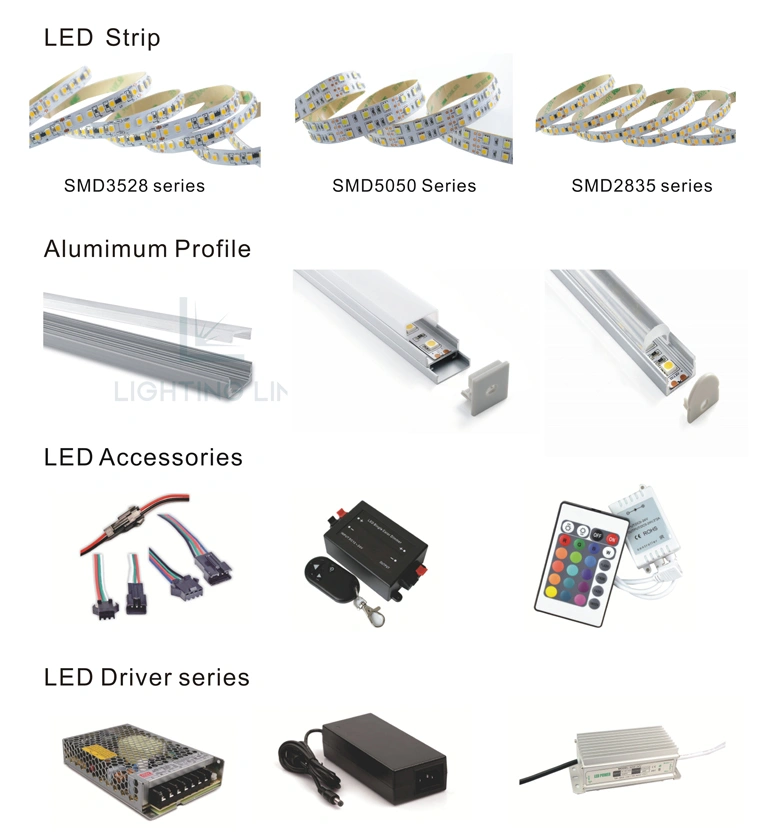 North America market LED Strip 2216 180LED/m 10mm LED Strip