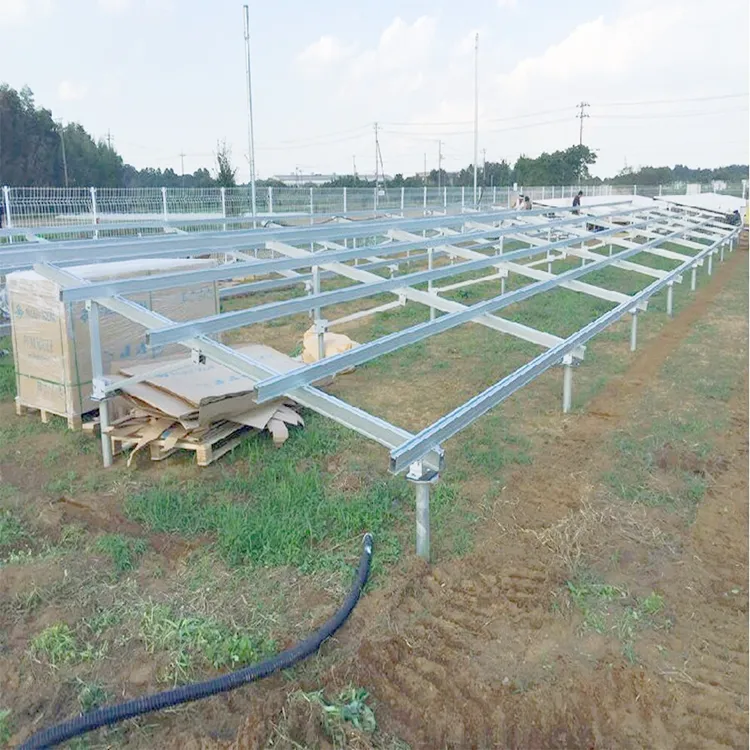 Solar PV Ground Mounting Structure with Adjustable Ground Screw for Solar Panel Installation
