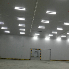 Quick freezing cold storage?